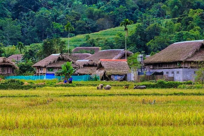 The peaceful beauty of Thon Tha village in Ha Giang